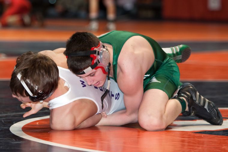 Alleman's DeVriese, Carton waltz into wrestling semifinals
